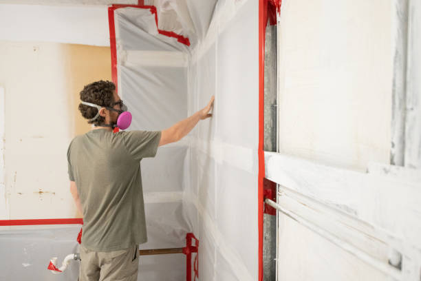 Best Basement Mold Removal  in Shelton, CT
