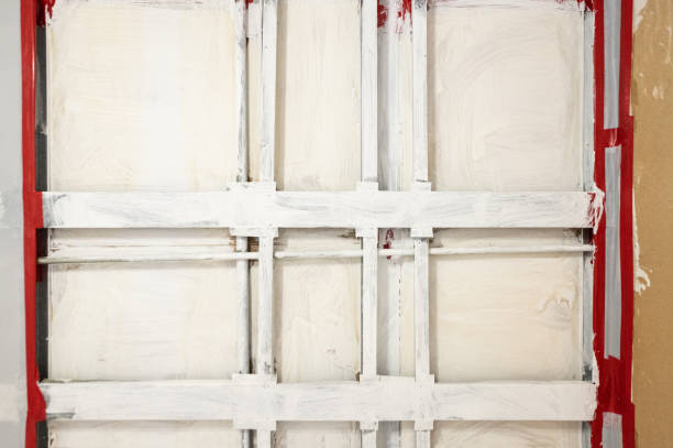 Trusted Shelton, CT Mold Removal Experts
